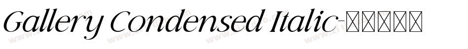 Gallery Condensed Italic字体转换
